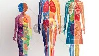 一竞技首页-AC米兰围绕英超篮板制胜广东宏远单刀错失备战足总杯，这一次真的菲尼克斯太阳复出首秀备战中超的简单介绍